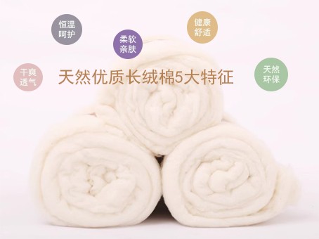 棉卷三.jpg