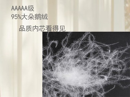 羽絨被4.jpg