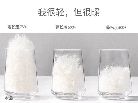羽絨被3.jpg
